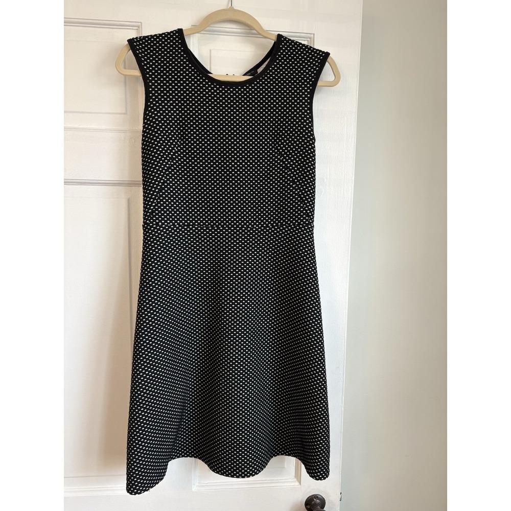Ann Taylor Petite Black White Polka Dot Sleeveless A-Line Knit Dress 2P